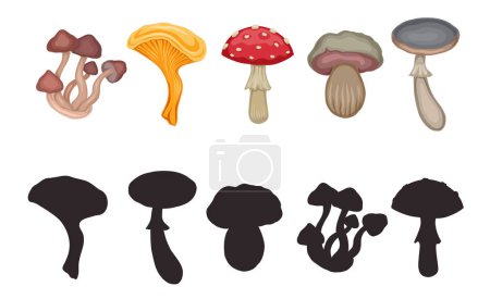 Illustration for Vector template for preschool games. Find the correct shadow. Childrens educational fun. Find right black silhouette for cartoon various poisonous mushrooms. Drawing of dangerous fungus. - Royalty Free Image