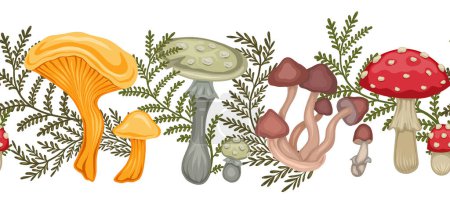 Illustration for Vector seamless border made of colorful cartoon poisonous mushrooms and fern stems isolated from background. Amanita, false mushrooms and herbals. Natural frieze for frame. Drawing of dangerous fungus - Royalty Free Image