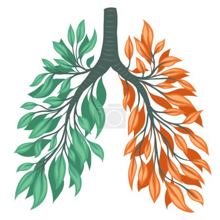 Illustration for Vector illustration of human lungs from green and orange leaves and branches. Withering health. Old human organ. Save the earth. Concept art of spring and autumn lungs isolated from background. - Royalty Free Image