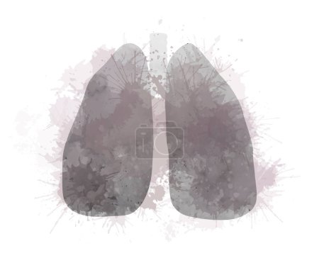 Illustration for Vector watercolor illustration of diseased lungs with splashes. Smoky respiratory system with dye sprays. Silhouette gray from smoke ill lungs isolated from background. - Royalty Free Image