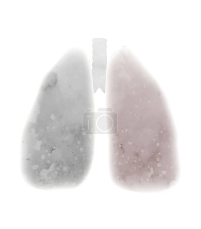 Illustration for Vector watercolor illustration of diseased lungs. Smoky respiratory system. Silhouette gray from smoke lungs isolated from background. - Royalty Free Image