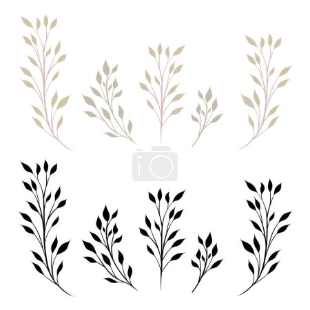 Illustration for Vector set of branches with foliage isolated from the background. Collection of flat style stems with leaves and black silhouettes for logo, icon and design elements. - Royalty Free Image