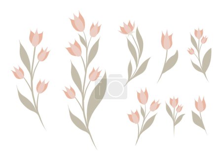 Ilustración de Conjunto vectorial de clipart floral. Colección de flores rosadas sobre tallos de estilo plano aislados del fondo. Ilustraciones para pegatinas, postales y su diseño - Imagen libre de derechos