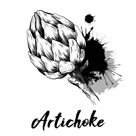 Illustration for Vector monochrome illustration of hand drawn artichokes with ink splashes. Sketch of head of cabbage healthy vegetables with hatching. Natural healthy food engraving clipart with lettering - Royalty Free Image