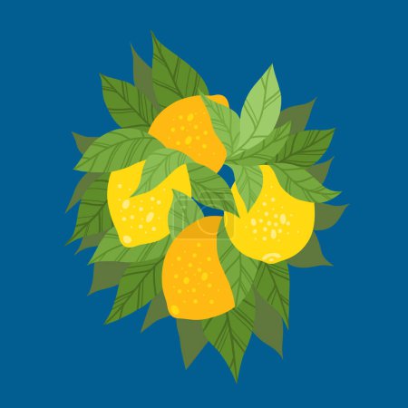 Ilustración de Ilustración vectorial de un ramo de limones con follaje sobre fondo azul. Postal con frutas tropicales. Cal plano dibujado a mano en las ramas. - Imagen libre de derechos