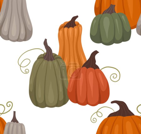 Illustration for Rustic vector pattern with composition of pumpkins on a white background. Autumn cozy vegetable texture. Rural background for wrapping paper, tablecloths and your creativity - Royalty Free Image