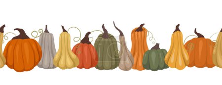 Illustration for Vector seamless border with pumpkins. Autumn frieze with vegetables isolated from the background. Nature pattern for dividers, invitations and brush sumples. - Royalty Free Image