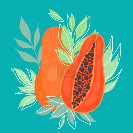 Ilustración de Ilustración vectorial de papaya tropical con follaje sobre fondo turquesa. Cuadro plano de fruta dibujada a mano. Postal de comida jugosa. - Imagen libre de derechos