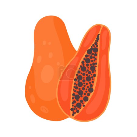 Illustration for Vector clipart papaya on white background. Hand drawn flat fruit. Juicy tropical food. Illustration for stickers, menus and recipes - Royalty Free Image
