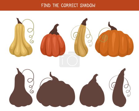 Illustration for Autumn child educational fun worksheet. Find the correct shadow for vegetables. Find right black silhouette for pumpkins. Vector template for autumn preschool games. - Royalty Free Image