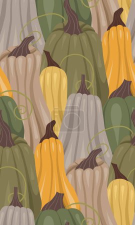 Illustration for Dense pattern of pumpkins. Cozy autumn texture with ripe vegetables. Surface design with food for fabrics, wrapping paper and wallpaper - Royalty Free Image