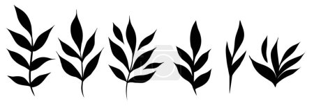 Ilustración de Conjunto vectorial de siluetas negras de ramas con follaje. Colección de hierbas para logotipos, iconos y su diseño - Imagen libre de derechos