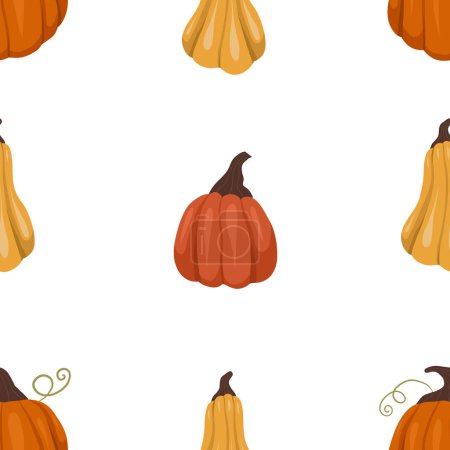 Illustration for Farm textile pattern with vegetables. Simple autumn pattern with yellow and orange pumpkins on a white background. Natural background for child clothes, tablecloths and your creativity - Royalty Free Image