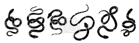 Ilustración de Conjunto misterioso vectorial de siluetas negras de serpientes en varias poses. Colección de cobras celestes monocromas y boas aisladas del fondo. Clipart animal para sublimación, pegatinas e iconos - Imagen libre de derechos