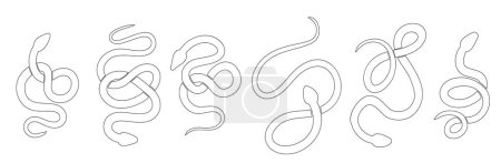 Téléchargez les illustrations : Ensemble vectoriel de silhouettes contour noir de serpents dans différentes poses. Collection de cobras et boas monochromes isolés de l'arrière-plan. Clipart animal pour sublimation, autocollants et icônes - en licence libre de droit