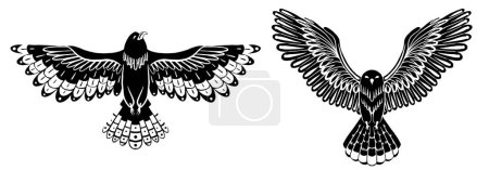 Ilustración de Conjunto vectorial de pájaros voladores decorativos de silueta negra. Cliparts monocromáticos de un búho y halcón con alas extendidas aisladas del fondo. Dibujo ornitológico para pegatinas, artículos, sublimación - Imagen libre de derechos