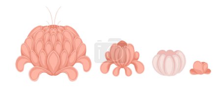 Illustration for Set of vector peonies isolated from background. Pink stylized flowers for icons, stickers and your design - Royalty Free Image