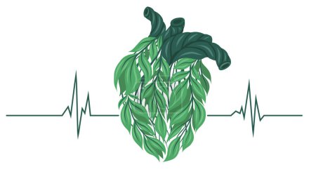 Illustration for Vector clipart of a healthy human heart made of leaves with cardiogram. Eco friendly lifestyle with pulse. Safe heart transplant. Love for the environment. - Royalty Free Image
