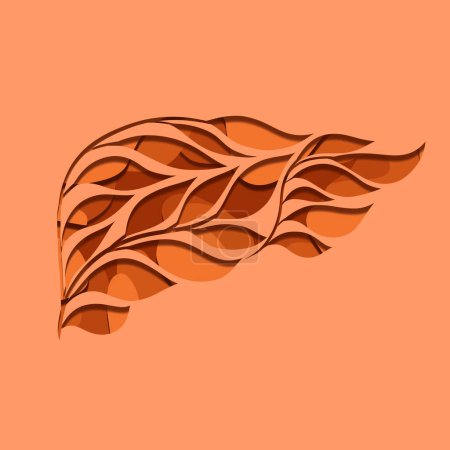 Illustration for 3d vector cut layered illustration of human healthy liver from leaves on orange background. Carve image of Illness internal organ of a vegetarian. Transplantation of unhealthy organs. - Royalty Free Image