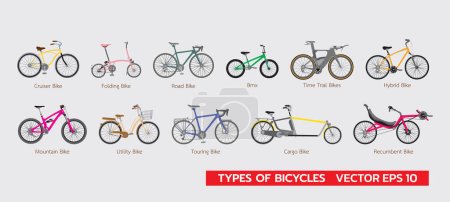 Illustration for Set of differrent types of bicycles flat infographic vector illustration colorful - Royalty Free Image