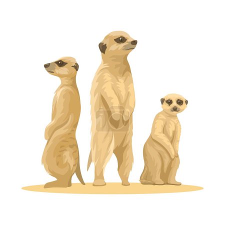 Meerkat Is A Small African Mongoose Animal Species Illustration Vector