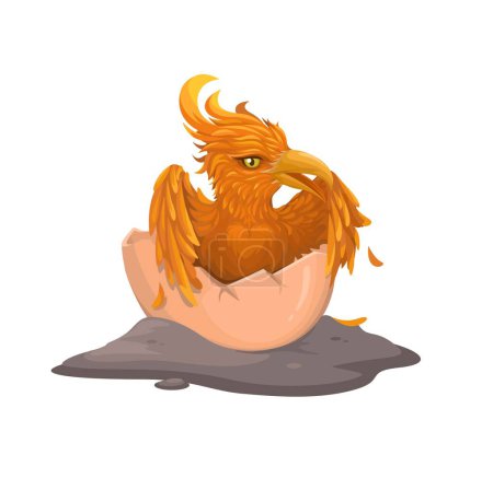 Birth Of A Phoenix Mythology Creature Illustration Vector