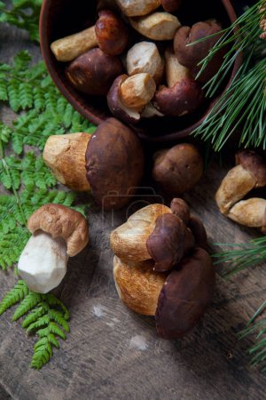 Photo for Autumn composition of boletus badius, imleria badia or bay bolete and Porcini mushroom commonly known as Boletus Edulis, clay bowl with mushrooms on vintage wooden background with green branch of pine tree and fern leaf on back - Royalty Free Image