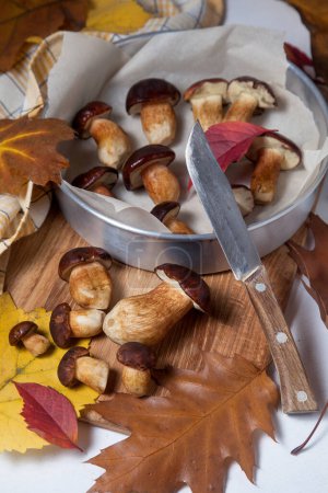 Herbstliche Komposition aus mehreren Imleria Badia oder Steinpilzen, die allgemein als Lorbeerpilze bekannt sind, Vintage Messer und Backblech mit Pilzen, die zum Trocknen auf einem Holzschneidebrett mit lebhaften Herbstblättern bereit liegen. Essbarer und poriger Pilz hat sich ausgebreitet