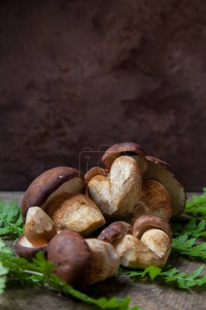 Autumn composition of boletus badius, imleria badia or bay bolete on vintage wooden background with fern green leaf on back. Edible and pored fungus has velvety dark brown or chestnut color cap