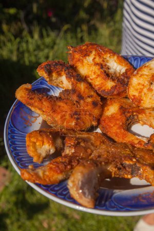 Delicious crispy fried fish steaks on a plate. Outdoor kitchen. Summer barbeque and vacatio