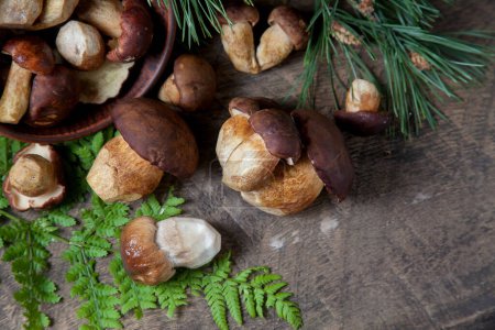 Autumn composition of boletus badius, imleria badia or bay bolete and Porcini mushroom commonly known as Boletus Edulis, clay bowl with mushrooms on vintage wooden background with green branch of pine tree and fern leaf on back