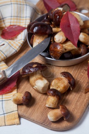 Autumn composition of several Imleria Badia or Boletus badius mushrooms commonly known as the bay bolete, vintage knife and pan with mushrooms on wooden cutting board with vivid autumn leaves. Edible and pored fungus has velvety dark brown or chestnu
