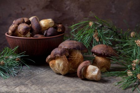 Photo for Autumn composition of boletus badius, imleria badia or bay bolete and clay bowl with mushrooms on vintage wooden background with green branch of pine tree on back. Edible and pored fungus has velvety dark brown or chestnut color cap - Royalty Free Image