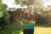 farmer carrying box of picked vegetables Poster #640437282