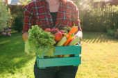 farmer carrying box of picked vegetables t-shirt #640437750