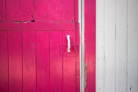 Photo for Old scarred pink wooden door with white handle, background - Royalty Free Image