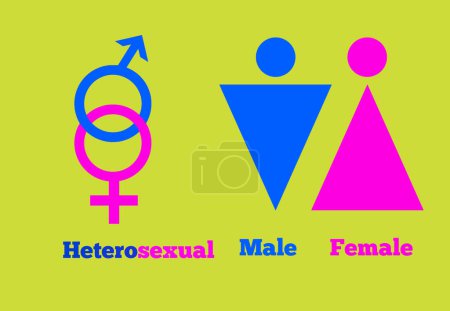 Eine heterosexuelle Orientierung Ikone Symbol Form Zeichen Logo Website Geschlecht Sexuelles Konzept Webseiten-Design Piktogramme Benutzeroberfläche Kunst Illustration Infografik