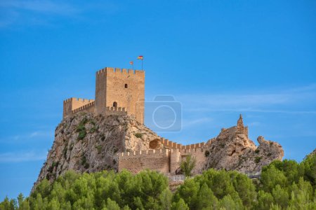 Medieval andalus castle on top of a rock. Sax, Spain
