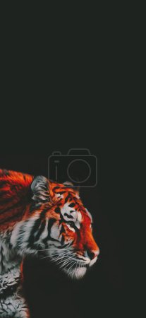 Photo for Portrait of a tiger in darkness wallpaper, full screen wildlife background - Royalty Free Image