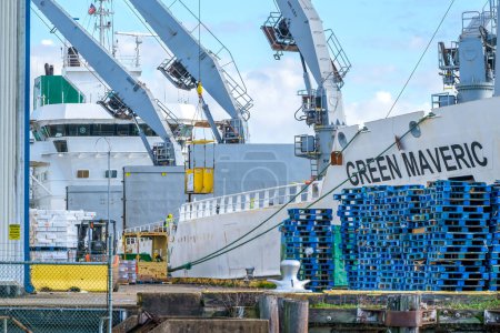 Foto de NEW ORLEANS, LA, USA - DECEMBER 28, 2022: Green Maveric refrigerated cargo ship with cranes loading cargo and stacked pallets on the Henry Clay Avenue Wharf - Imagen libre de derechos