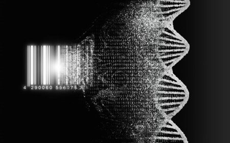 Foto de Decodificación del ADN, concepto de decodificación biológica y genética. Mapa de Genom. La hebra de ADN, doble hélice de ácido nucleico, se lee y se convierte en un código de barras. - Imagen libre de derechos