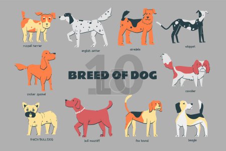Ilustración de Raza de perro conjunto dibujado a mano garabato ilustración con varios pose - Imagen libre de derechos