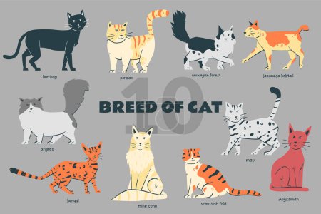 Raza de gato conjunto dibujado a mano garabato ilustración con varios pose