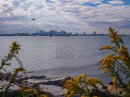 Photo for Boston skyline with aircraft taking off from Boston Logan International Airport seen from across the water at Coughlin Park in Winthrop with yellow flowers in the foreground. - Royalty Free Image