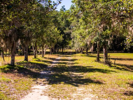 Photo for Located in the southern Santee Delta region, Hampton Plantation State Historic Site is home to the remote, final remnants of a colonial-era rice plantation. The plantation now serves as an interpretive site for the system of slavery and rice cultivat - Royalty Free Image