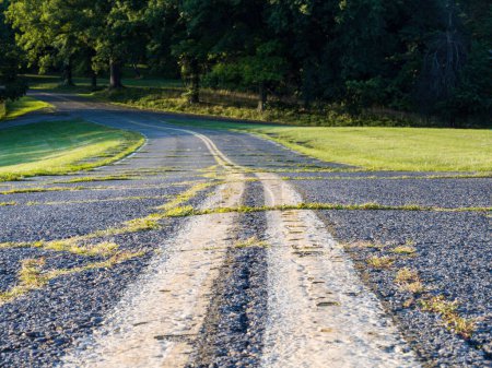 Photo for Closeup of worn road with double roadmarkings overgrown with gra - Royalty Free Image