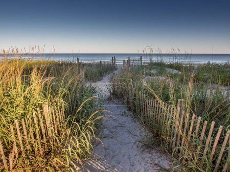 Photo for A sandy walkpath to the beach near Myrtle Beach in South Carolina is lined with a fence and grass, creating a serene pathway that leads to the pristine shoreline. Clear blue sky overhead and the sparkling sea in the background. - Royalty Free Image