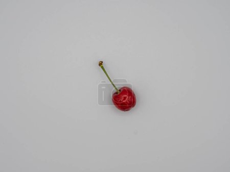 Photo for One Juicy, sweet, organic, red cherry glistening with tempting water droplets. - Royalty Free Image