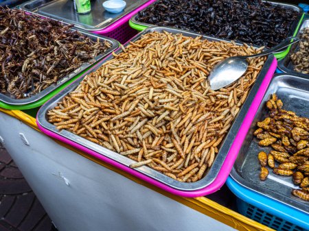 Photo for At a bustling street market in Bangkok, Thailand, you'll find delicious offerings of edible insects and maggots. - Royalty Free Image