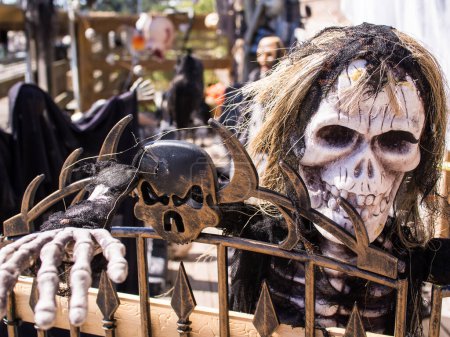 Foto de Un cráneo peludo que aparece en esta decoración de Halloween. - Imagen libre de derechos